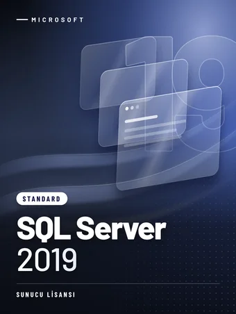 Microsoft SQL Server 2019 Standard Lisansı